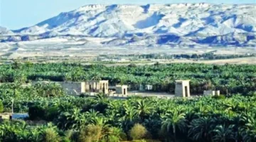 1500 جنيه.. شروط الاشتراك في رحلات الشباب والرياضة للوادي الجديد